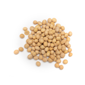 VP SOYA BEANS 500G